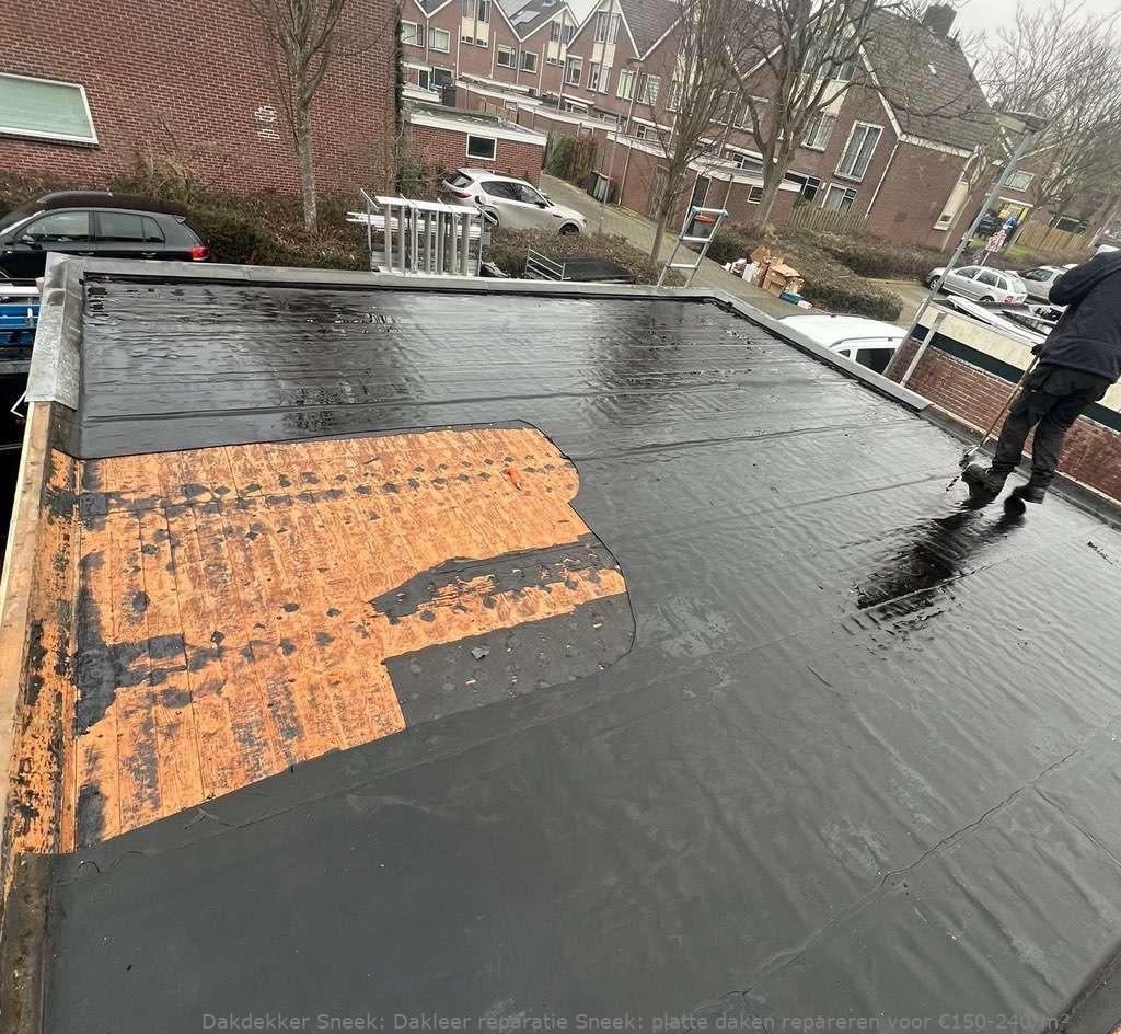 Dakleer Reparatie Sneek