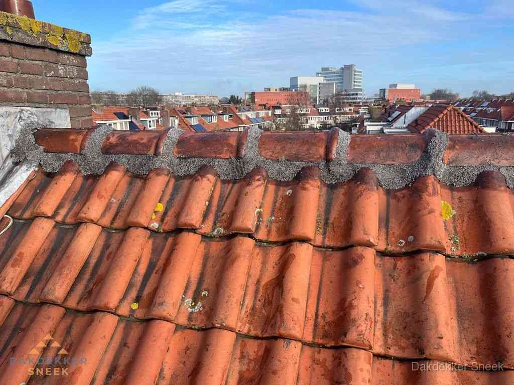 Sneek Daken Renoveren